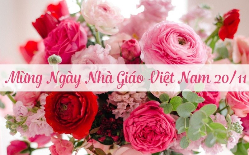 Chúc mừng Ngày Nhà giáo Việt Nam 20/11/2022